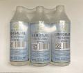 Swastik - Gangajal (The Holy Water) 3 bottle value pack- Net Wt: 750 ml 